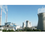 山東益發熱電（莘縣）